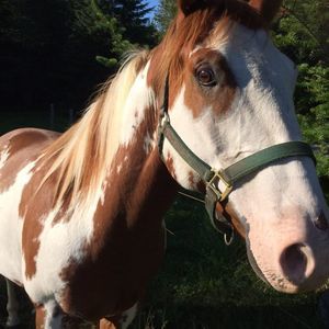 Meet your Posher, Julie